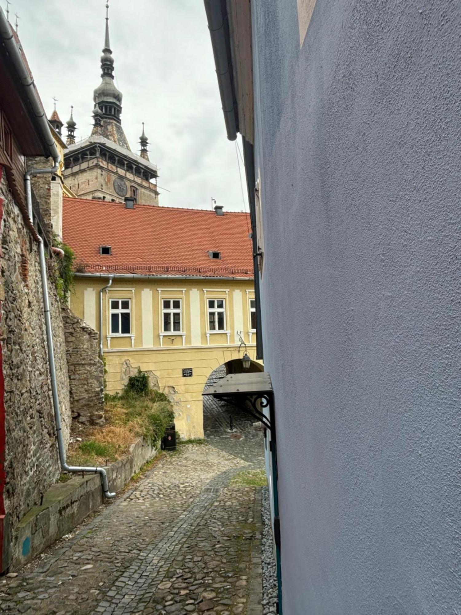 Blue House Citadel Elite Sighisoara Apartment Exterior photo